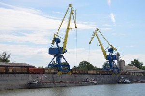 ISD PORTOLAN Ltd - activity